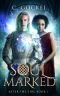 [After the Fire 01] • Soul Marked · After the Fire Book 1